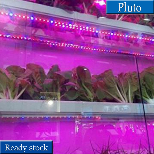 Dải đèn LED quang phổ 5M 12V hỗ trợ trồng cây tiện dụng cho sân vườn