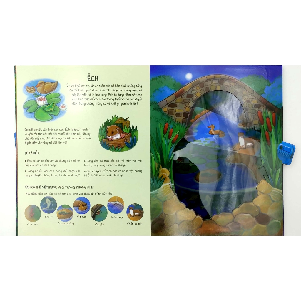 Sách - Đèn Pin Khám Phá - Moonlight Animals - Động Vật Dưới Ánh Trăng