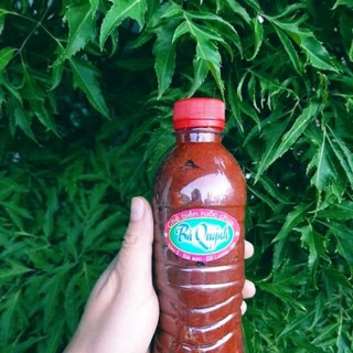 mắm ruốc chua cay - mắm tép bà Quýnh đặc sản Nghệ An