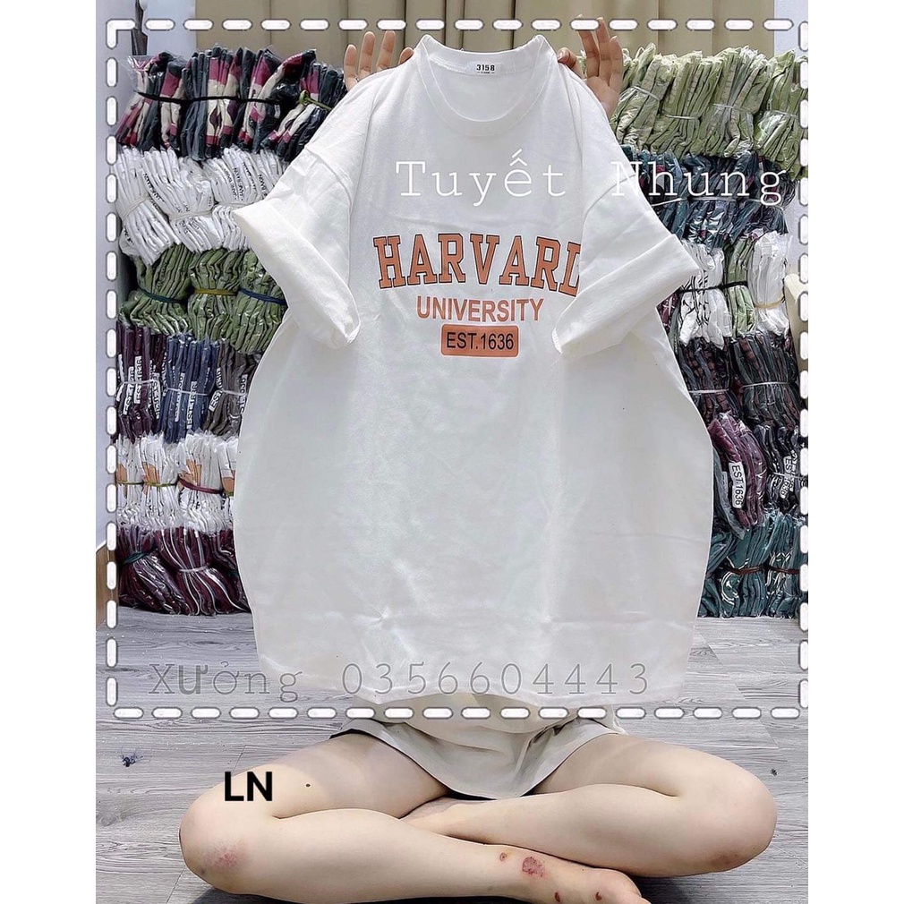 Áo phông cổ tròn tay lỡ dáng unisex in chữ HARVARD 1636 (35L-LN)