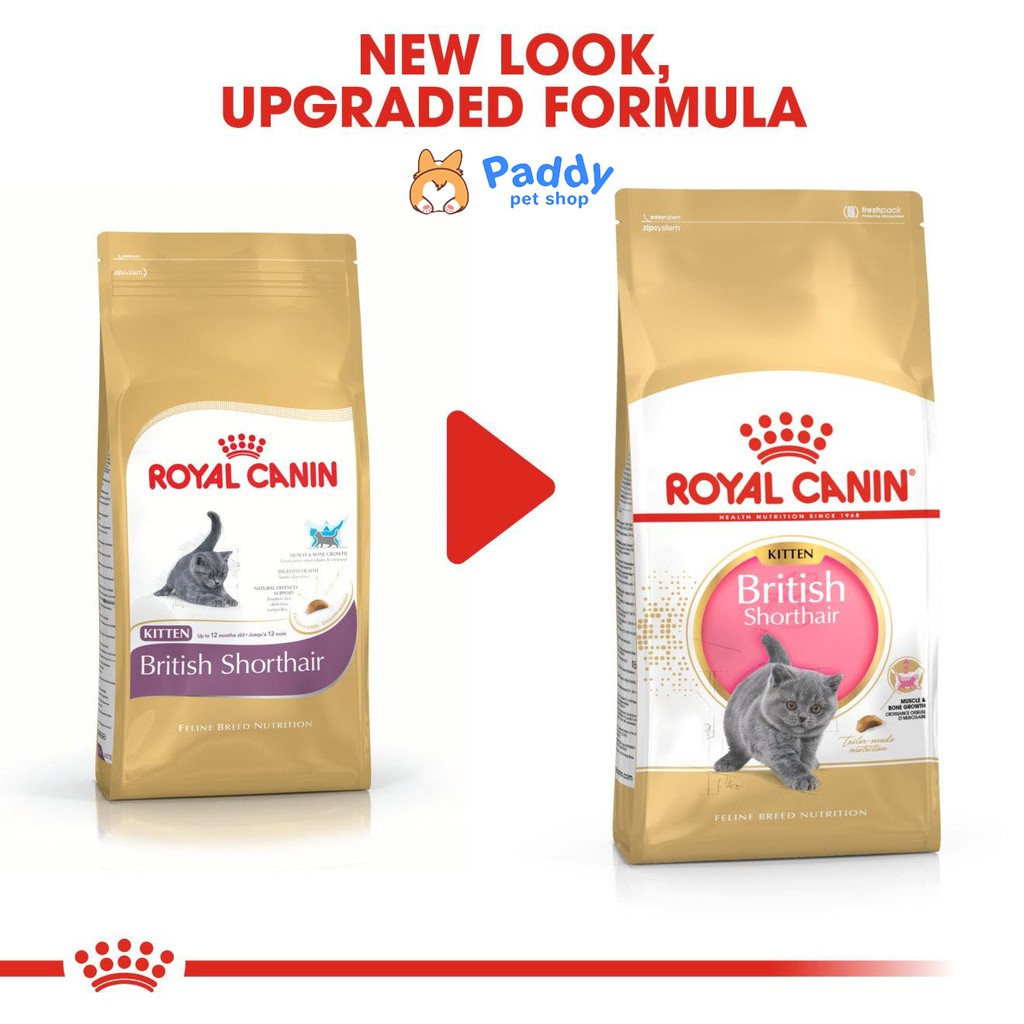 Thức Ăn Hạt Cho Mèo Con Anh Lông Ngắn Royal Canin British Shorthair Kitten Túi 2kg - Lida Pet Shop