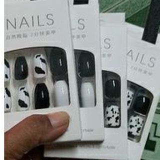 Bộ 24 móng tay bò sữa dài và ngắn