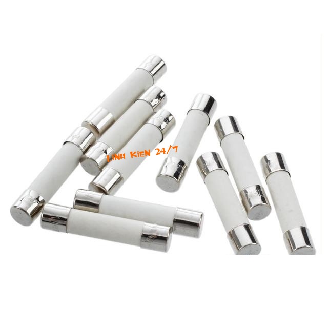 Bộ 10 Cầu Chì Ống Sứ 10A 15A 25A 30A 500V 6x30mm