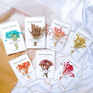 Thiệp Eternity Blossom