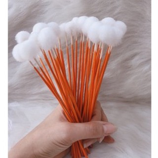 Combo 5 cây Bông xe ráy tai