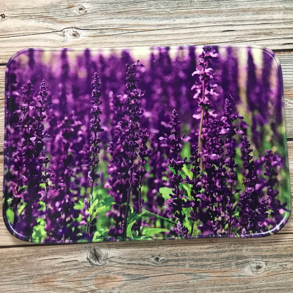 Thảm lau chân in hình 3D cực hot - Giao màu ngãu nhiên