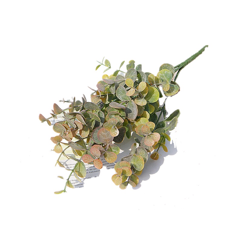 Nhánh Khuynh Diệp 5 Lá Bạch Đàn Nhân Tạo Phong Cách Bắc Âu Dùng Để Trang Trí Tiệc Cưới / Giáng Sinh