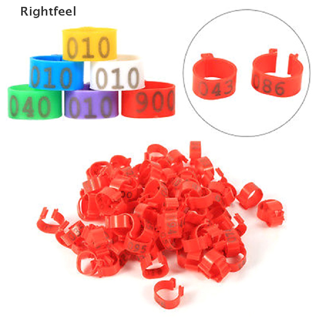 (MớI) Bộ 100 VòNg Đeo Chân Cho Gà / VịT Cỡ LớN 16mm