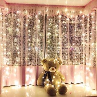 Đèn dây mành 3m x 2m