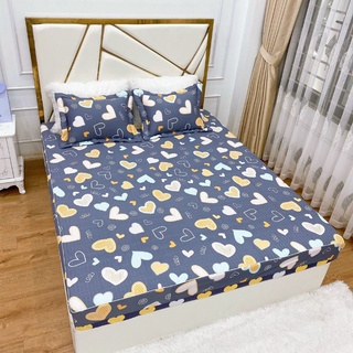 Bộ ga gối chun trần Hàn Quốc chất vải cotton hàn mềm mát thấm hút tốt tiện dụng
