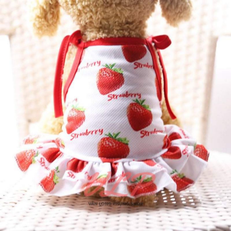 SET ÁO &amp; VÁY CHO THÚ CƯNG - QUẦN ÁO CHÓ MÈO HÌNH TRÁI DÂU