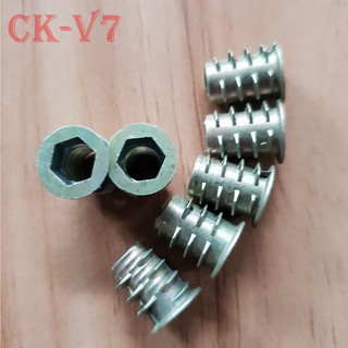 Túi ốc cấy gỗ phi 6 - 100 con