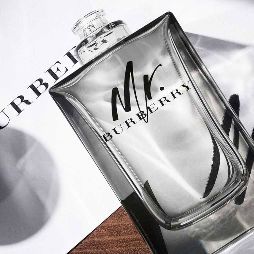 Nước Hoa Nam MR. BURBERRY EAU DE PARFUM - Nước Hoa Nam BURBERRY - Nước Hoa Nam Bí Ẩn -  Nước Hoa Nam 100ml | BigBuy360 - bigbuy360.vn