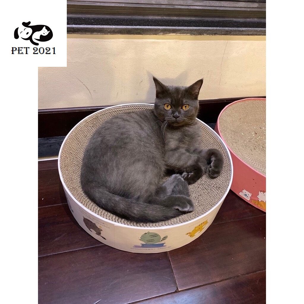Bàn Cào Móng Hình Tròn,Ổ Nằm Dành Cho Mèo ( Kèm Catnip) - PET 2021