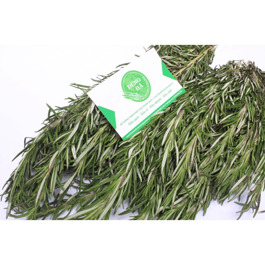 Gia vị lá hương thảo rosemary - Cây mê điệt khô