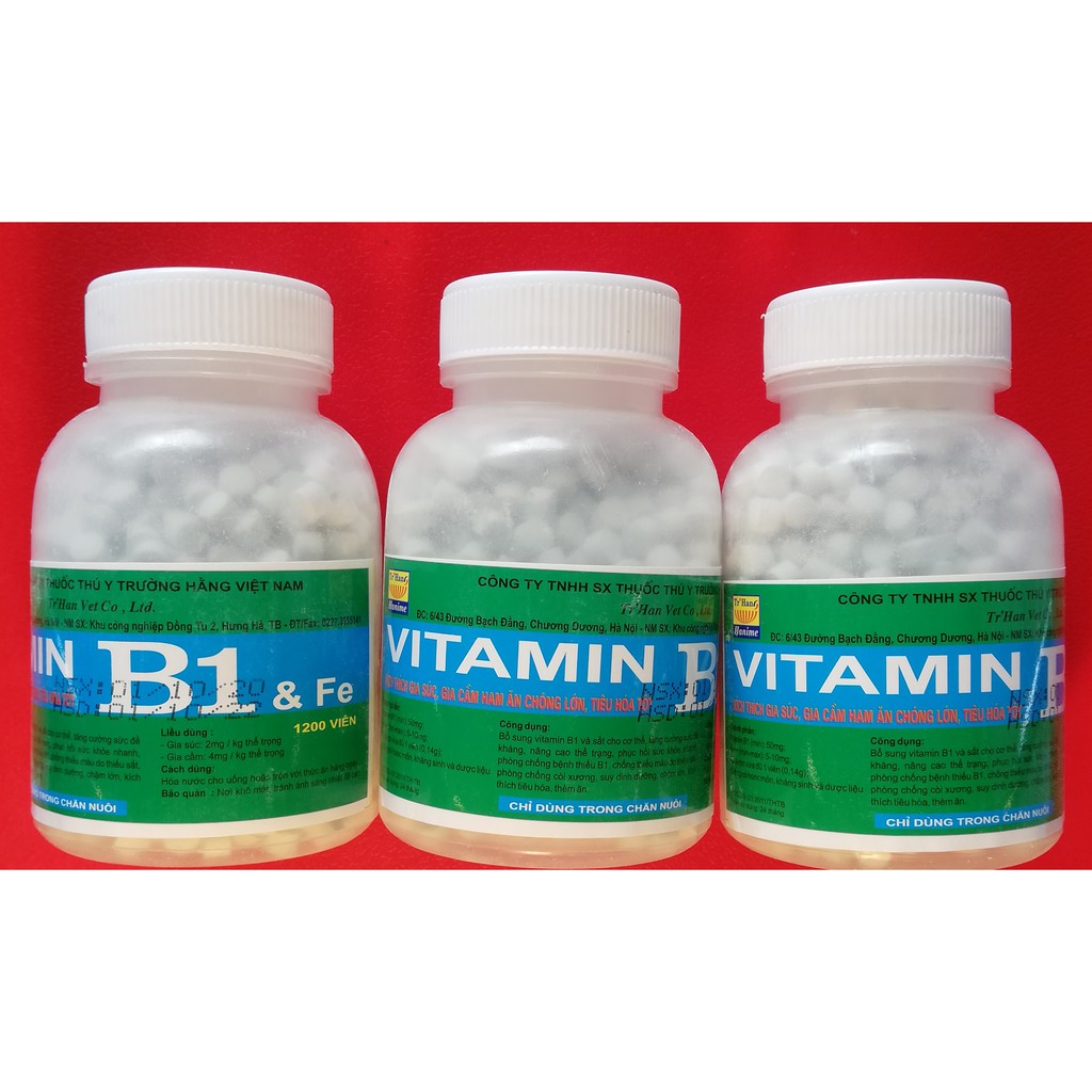 1 lọ VITAMIN B1 200g KÍCH THÍCH GIA SÚC, GIA CẦM, CHÓ MÈO HAM ĂN CHÓNG LỚN, TIÊU HÓA TỐT. Có thể dùng bón cho hoa lan