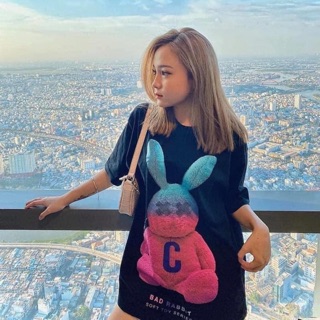 [LINK TRẢ ORDER] Áo phông hình Nelly