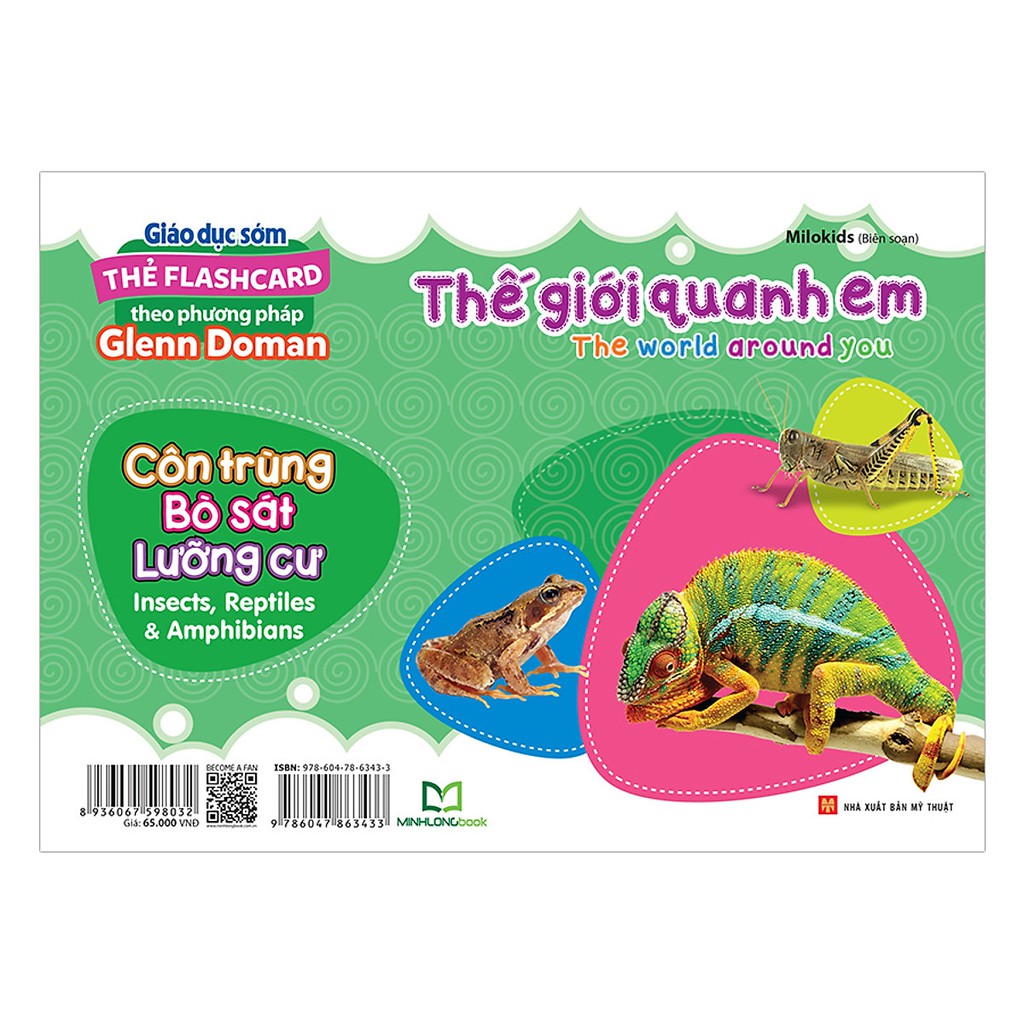 Sách: Thế Giới Quanh Em - Côn Trùng Bò Sát - Lưỡng Cư (Thẻ Flashcard)