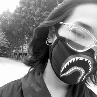 Khẩu trang Bape Shark