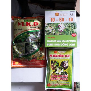 bộ ba kích ra hoa mít