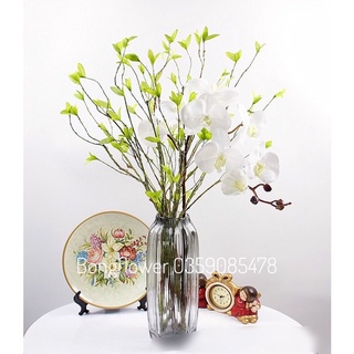 👉 Cành Cổ Thân Mộc - Cành salic trang trí cao 80cm