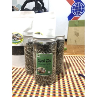 Bạch trà 1 tôm - chè shan tuyết suối giàng