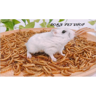 SÂU RANG BƠ THƠM NGON CHO HAMSTER, NHÍM, SÓC 100G
