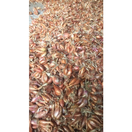 Hành ba chài 1kg
