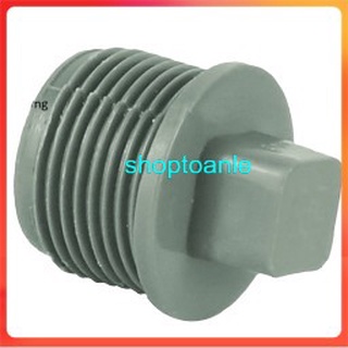 Đầu bịt ống nước ren ngoài (ren 21, ren 27, ren 34)