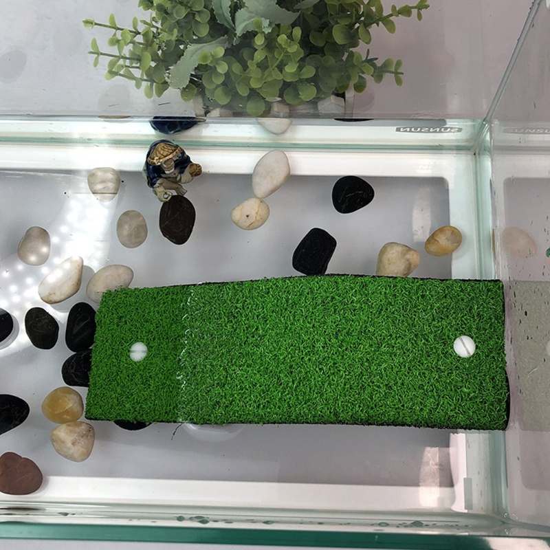 Bệ Tỳ Tay Cho Rùa Có Thể Điều Chỉnh