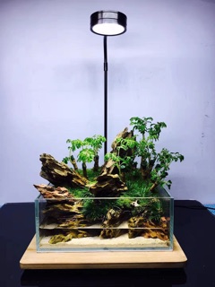 Kệ tre bể cá và cây cảnh Thuỷ Cung