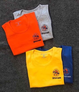 Combo 3 áo phông