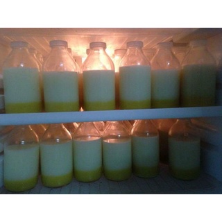 Lọ thủy tinh 500 ml