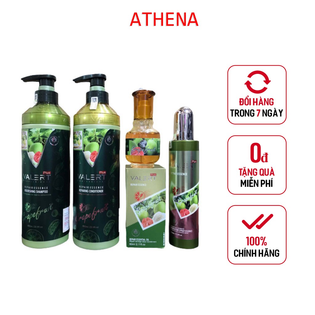 Dầu Gội xả Grapefruit Valert Kích thích mọc tóc chống rụng tóc - Ngăn ngừa gàu và nấm da đầu