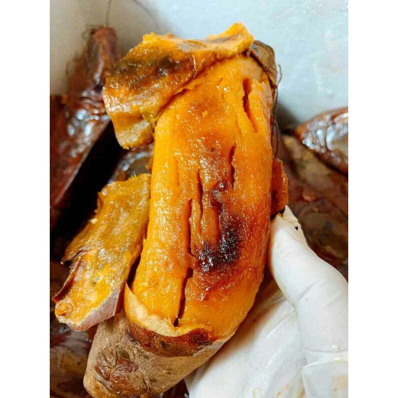 Combo 3kg Khoai lang Mật Tà Nung Đà Lạt tại Hà Nội khoai siêu nhiều Mật, đã héo về chỉ việc chế biến