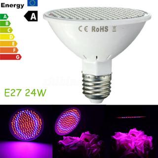 Đèn Led Trồng Cây E27 220v 200 Bóng
