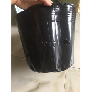 - 1kg túi bầu ươm cây các size nhập.