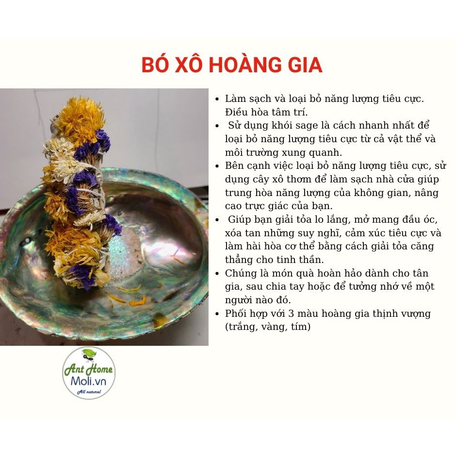 Bó xô hoàng gia