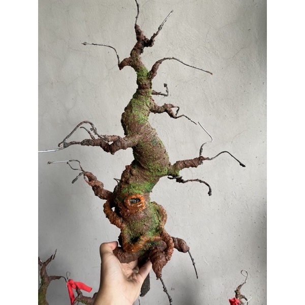 Gốc bonsai,thân cây bonsai thế Trực 40-45cm làm hoa mai,đào Handmade