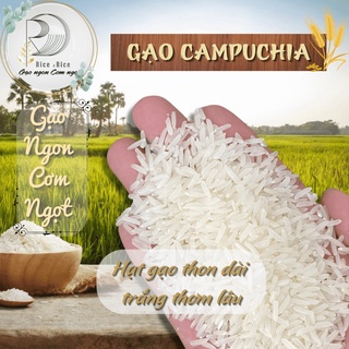 Túi 5KG Gạo Campuchia - Gạo hạt thon dài hạt trắng đục giữ được mùi vị lâu - Rice&Rice