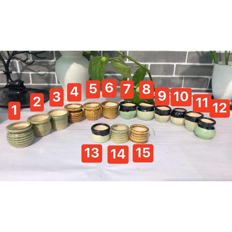 Chậu sứ mini  trồng sen đá, làm handmade