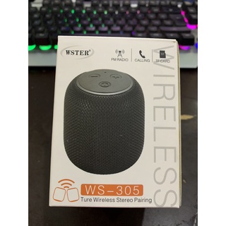 Loa bluetooth WS305
