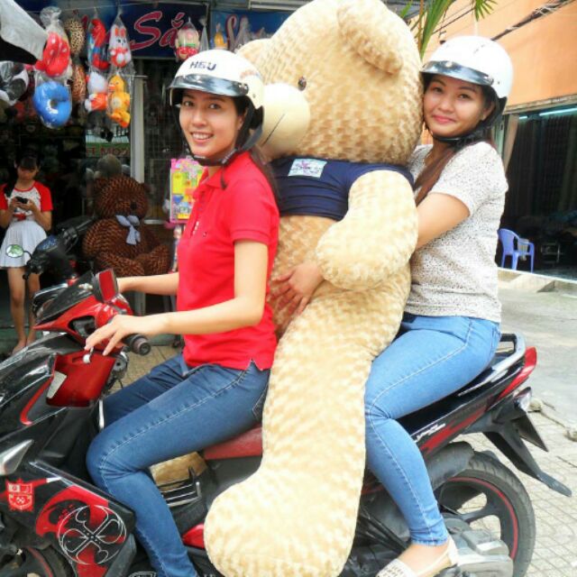 Gấu bông teddy khổ m8 nhiều màu)