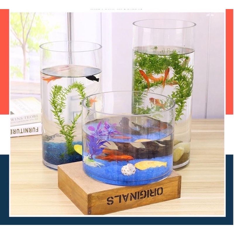 Bình thủy tinh cắm hoa, chậu nuôi cá mini 20cm cao 10cm