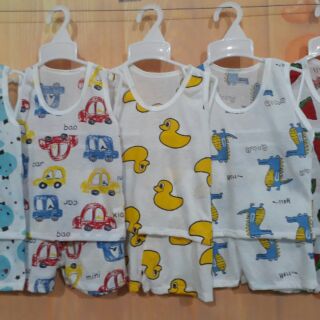 Sỉ bộ cotton giấy