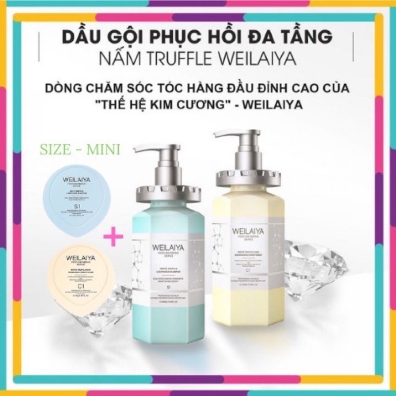 bộ cặp dầu gội phục hồi đa tầng tóc từ Nấm Trufle Trắng