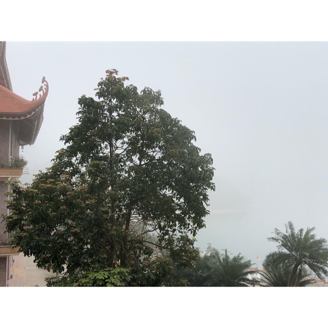 quyennguyen0410