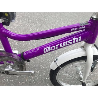 Xe đạp trẻ em Nhật Future 16 inch