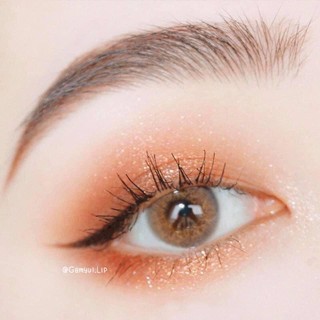 Phấn mắt nhũ 9 ô dikalu coco venus