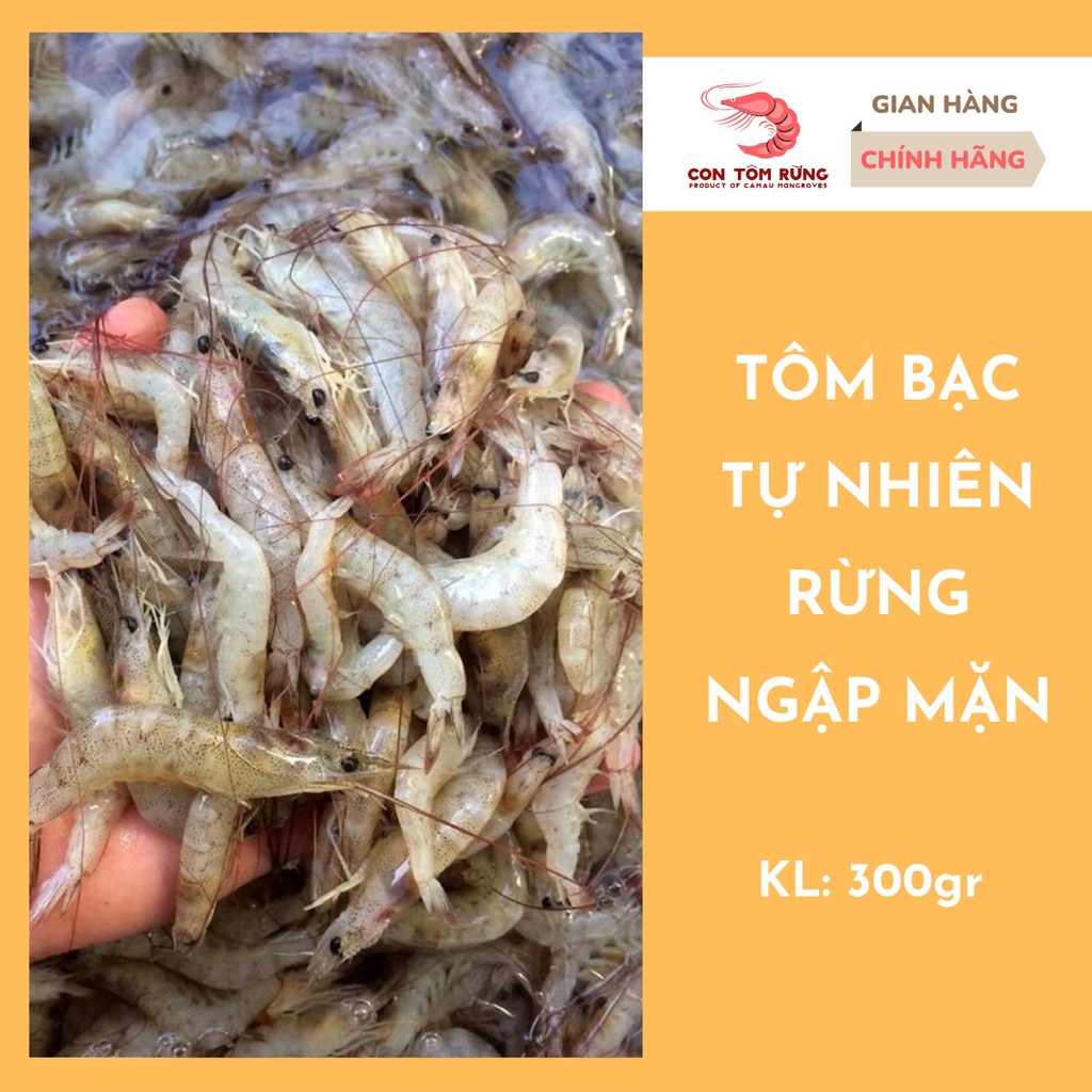 Tôm bạc thiên nhiên đông lạnh Con Tôm Rừng 300g